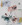 Serie Apos 12 - 23 x 21 cm - Aquarell, Ölkreide, Tinte, Collage auf Papier - 2020/21