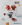 Serie Apos13 - 23 x 21 cm - Aquarell, Ölkreide, Tinte, Collage auf Papier - 2020/21